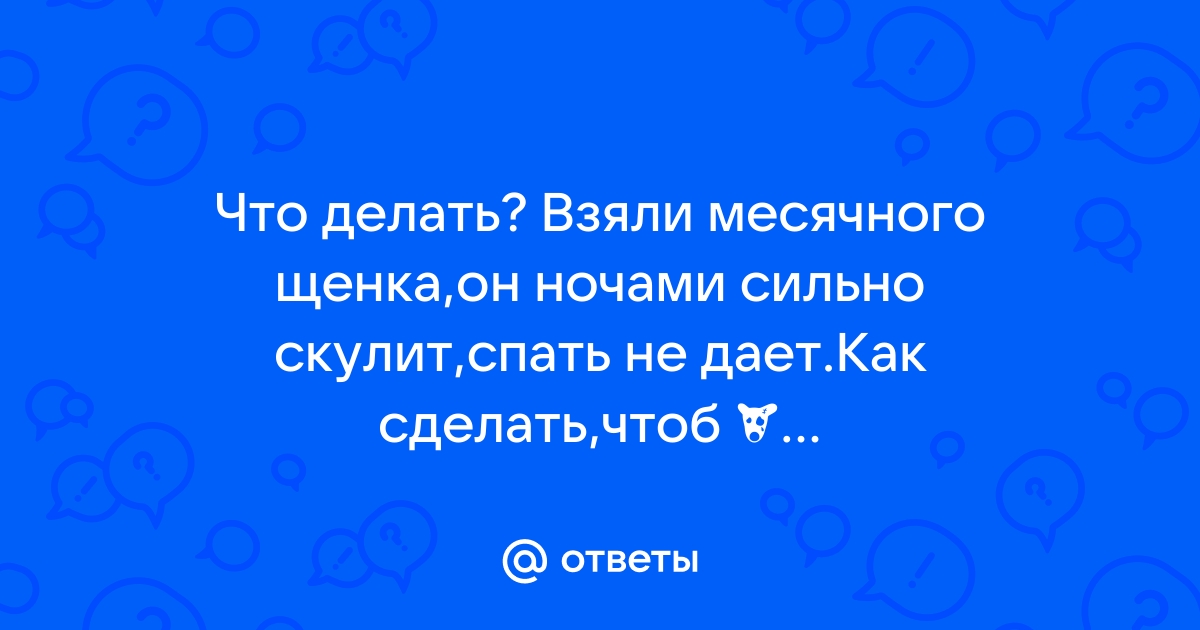 Щенок скулит – почему и что сделать?