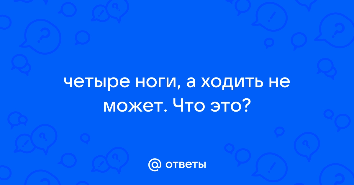 Музеи Санкт-Петербурга – современные, необычные, обязательные к посещению