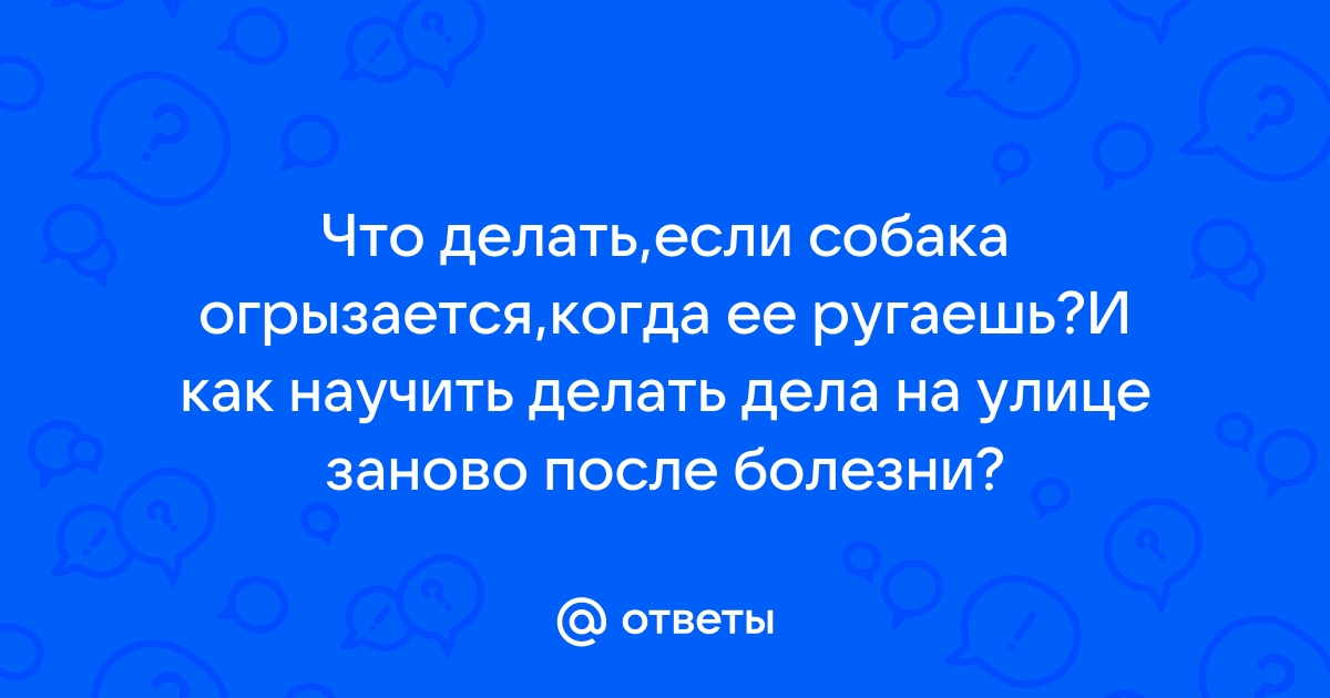 3 причины, почему ваша собака рычит на людей - отвечают эксперты Адаптил