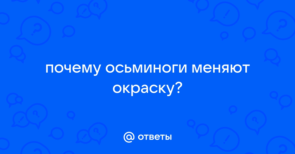 Приложение с осьминогом как называется