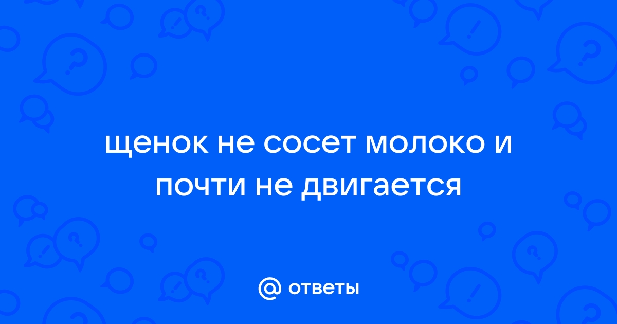 Проблемы новорожденных щенков — Red Hot Line