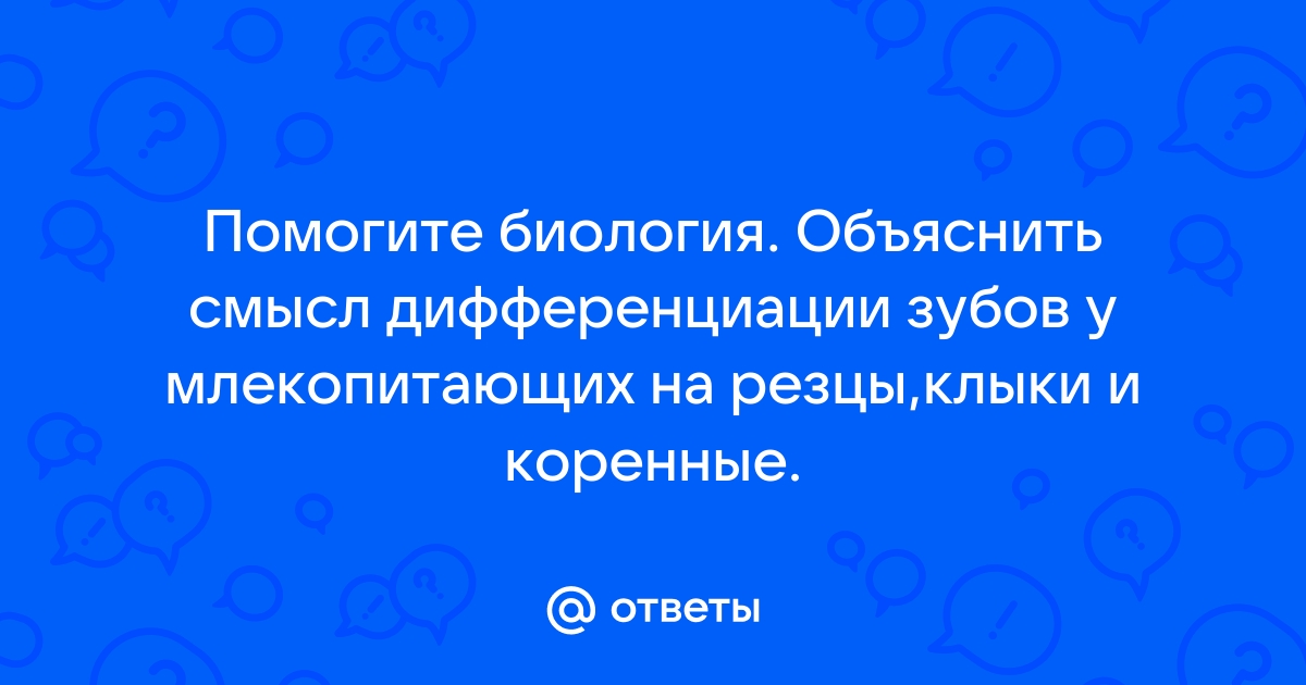 Какие части имеют зубы у млекопитающих? Укажите виды зубов и их функции.