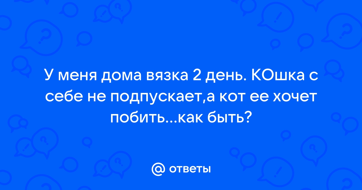 Про бесплодие кошек