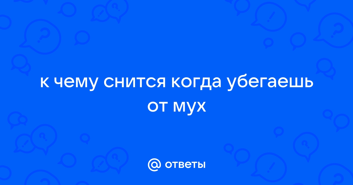 К чему снится мухи в помещение