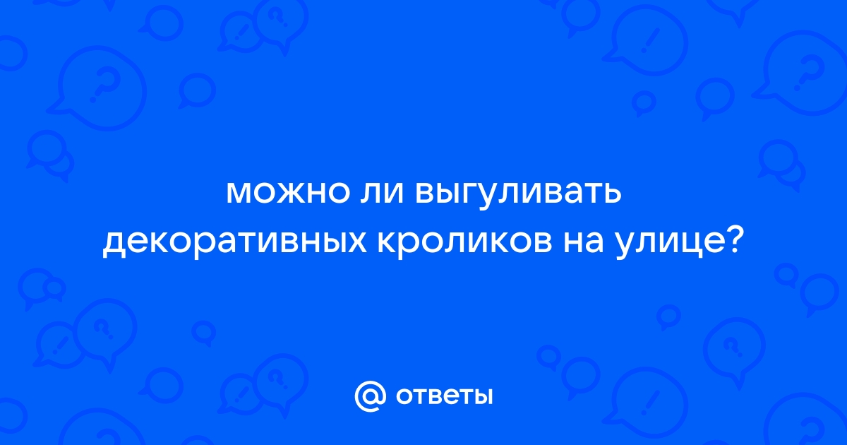 Как правильно выгуливать кролика