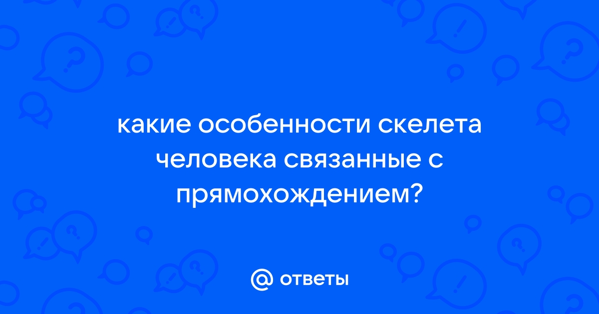 Особенности скелета человека, связанные с прямохождением и трудовой деятельностью.