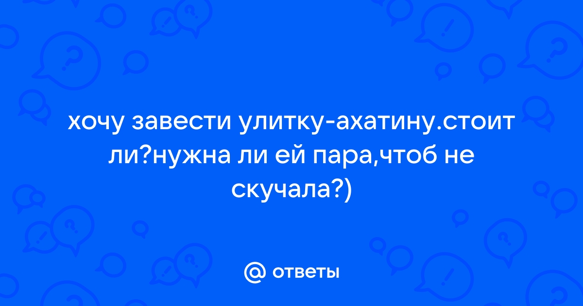 Ответы Mailru: хочу завести улитку-ахатинустоит ли?нужна ли ей пара