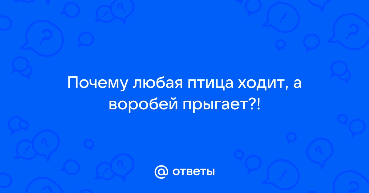 Исследовательский проект «Почему воробьи не умеют ходить»