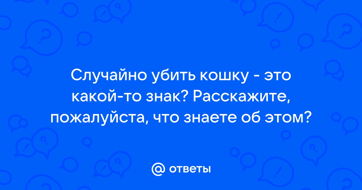 что делать если случайно убил кошку | Дзен