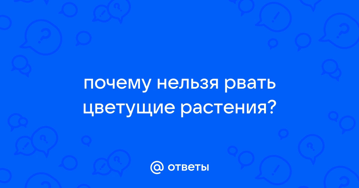 Увидеть Цветение Маральника и… наслаждаться жизнью дальше!