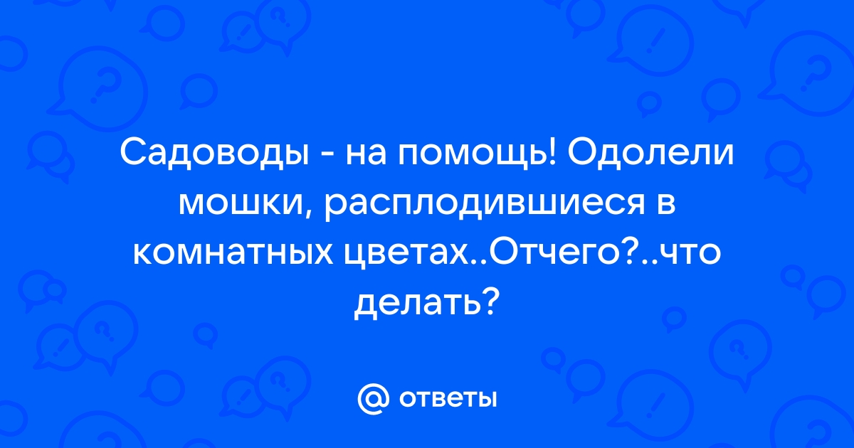 Как избавиться от мошек в цветах: проверенные методы