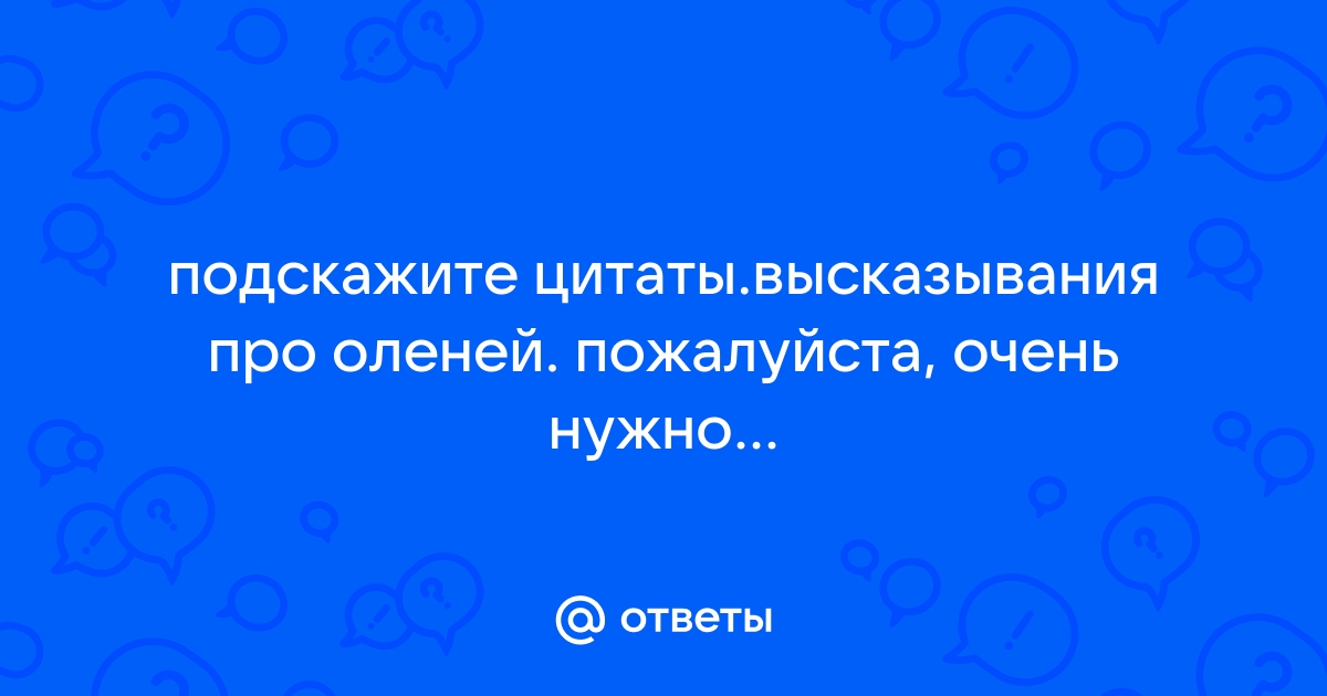 Смешные фразы про оленей