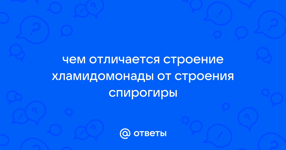 –чем отличается строение хламидомонады от строения м спирогиры –чего??? кто это блять??.