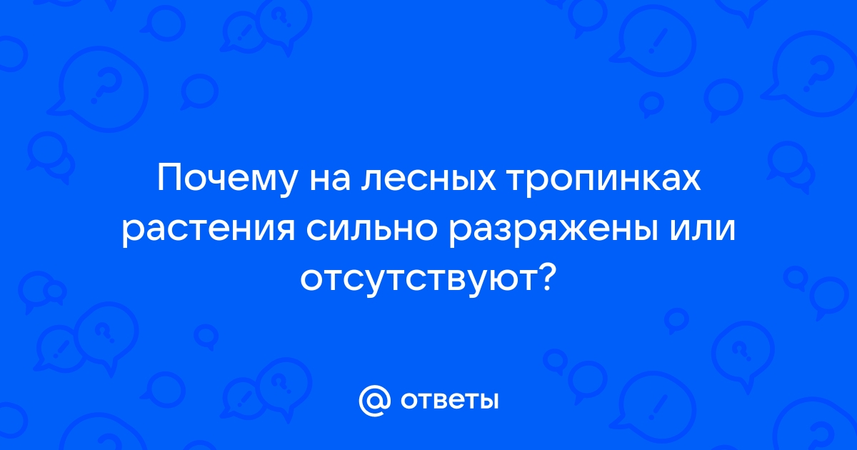 Вы точно человек?