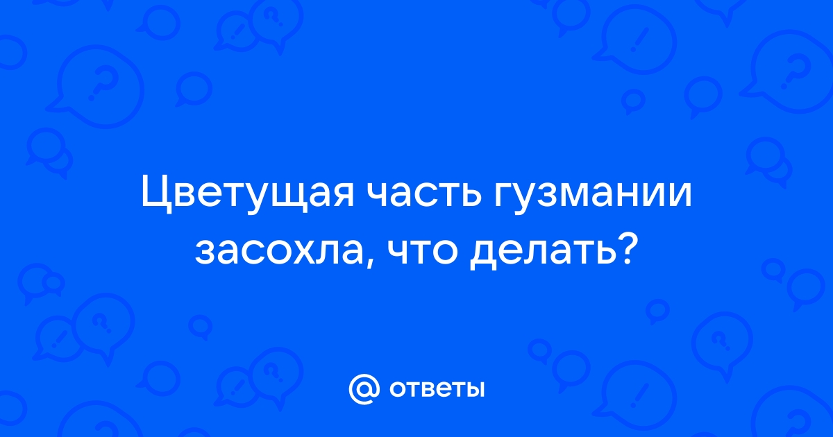 Гузмания - экзотика дома, которую я погубила своими ошибками