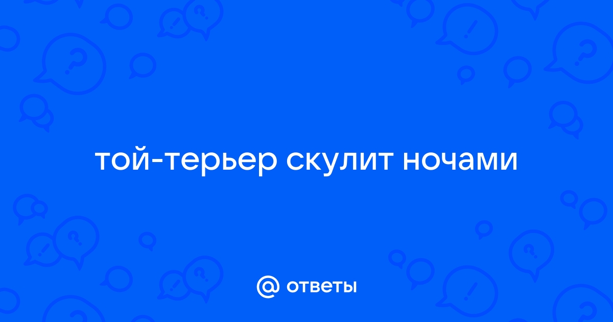 когда вы взяли тойчика, какдолго он скулил по ночам и не давал спать? | VK