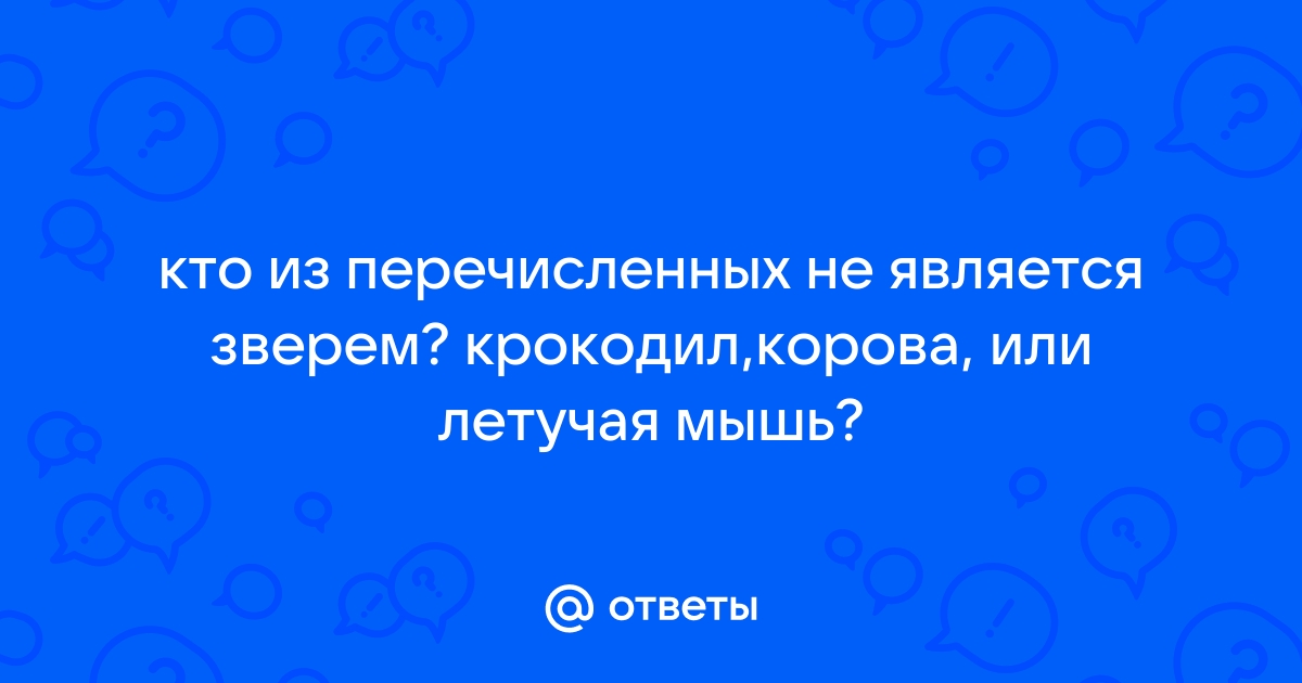 Когда лисенок разыгравшись отбегает от норы схема предложения