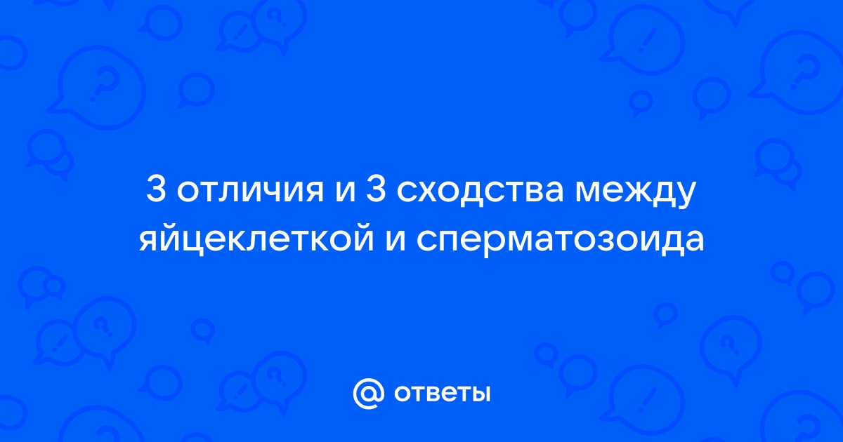 Процесс оплодотворения яйцеклетки в подробностях