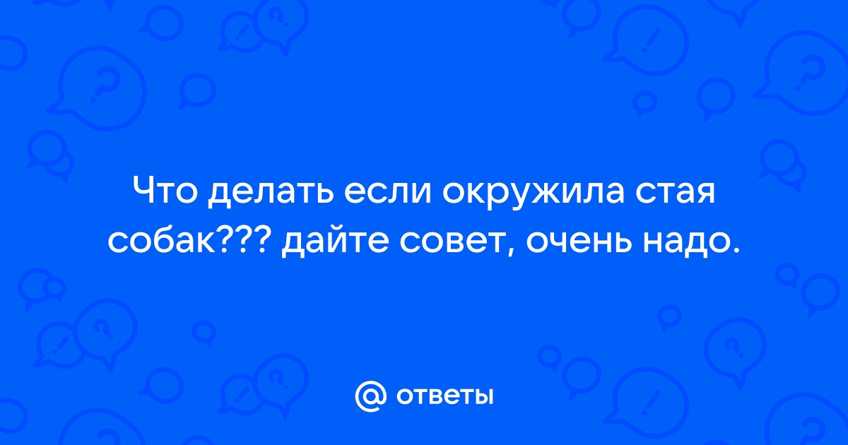 Если напала стая собак: советы кинологов по эффективной защите