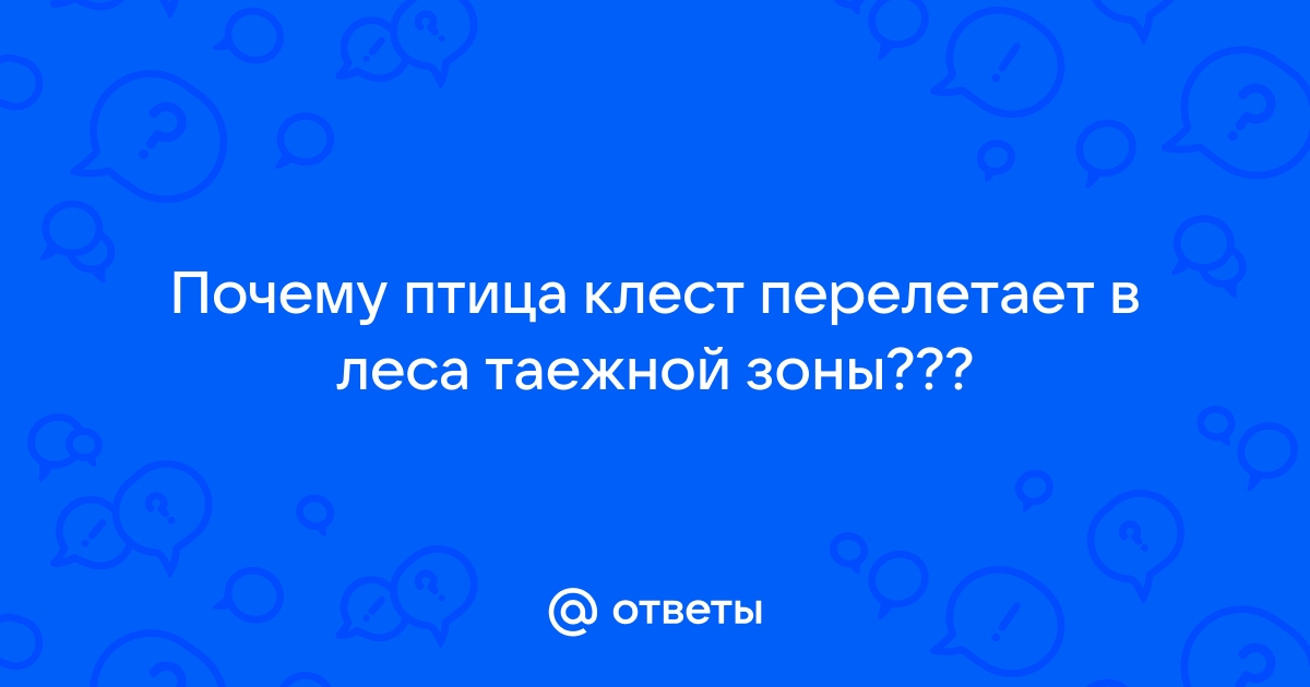 Проект 