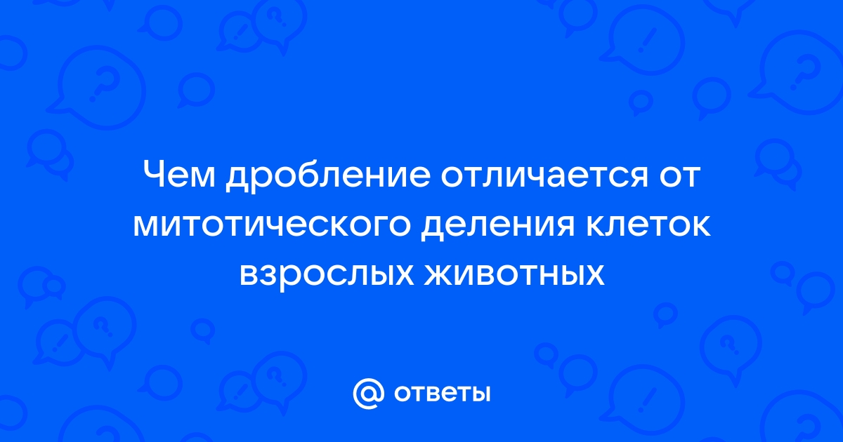 Чем отличается дробление от деления