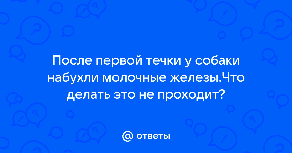 Ложная беременность у животных