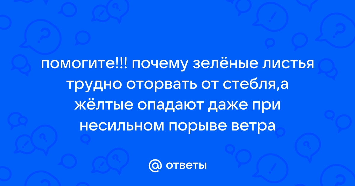 Слива: Шершневская - Интернет-магазин саженцев 