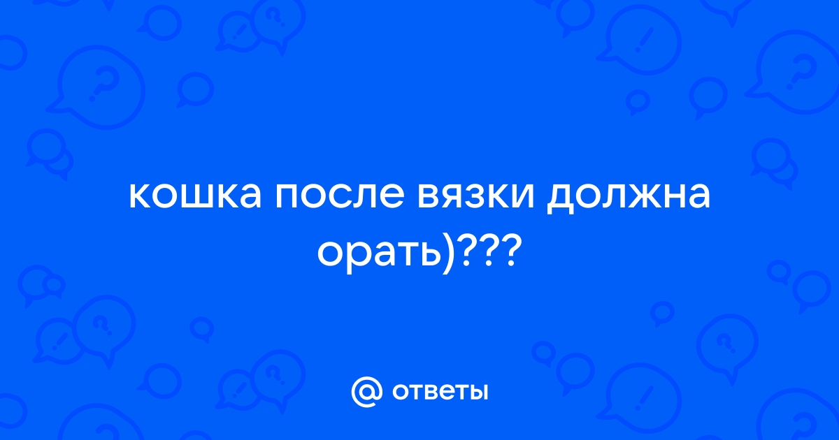 Кошка после вязки метит и гадит в доме - ТАЙСКИЕ КОШКИ. ПРОФИ - ПОРТАЛ.