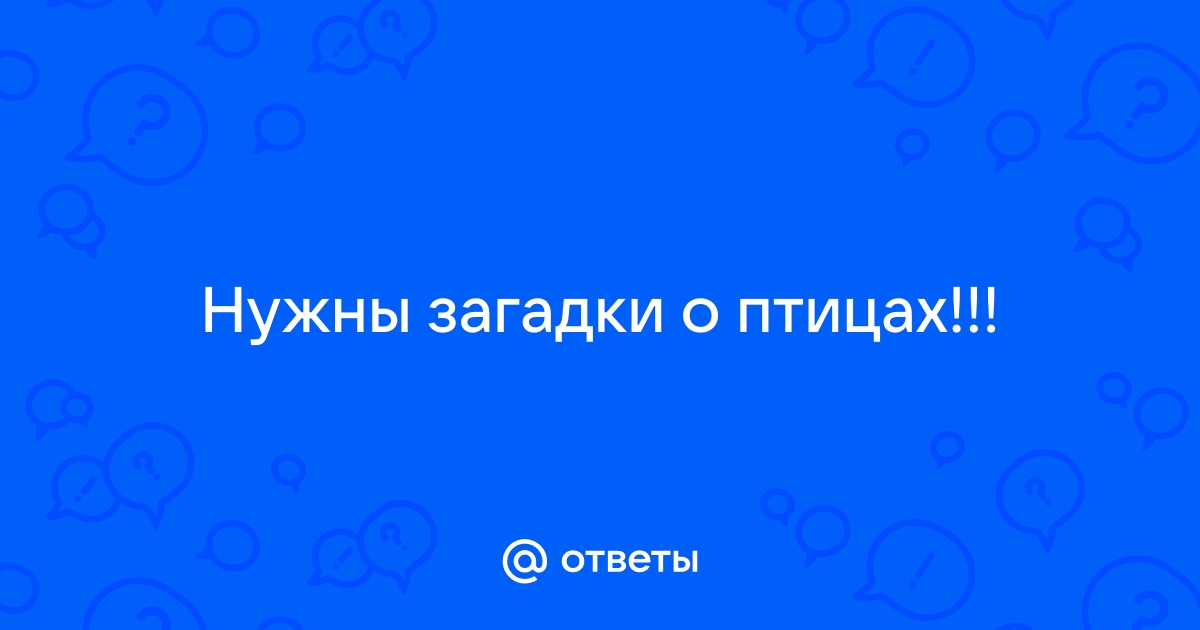 Загадки про грача с ответами