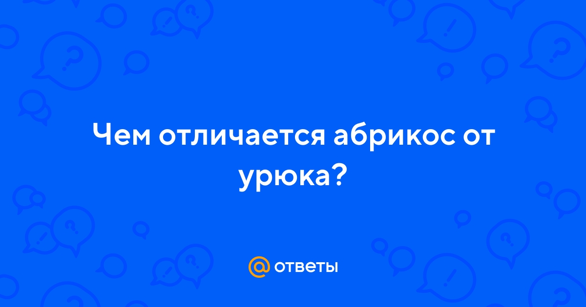 Ответы Mail.ru: Чем отличается абрикос от урюка?