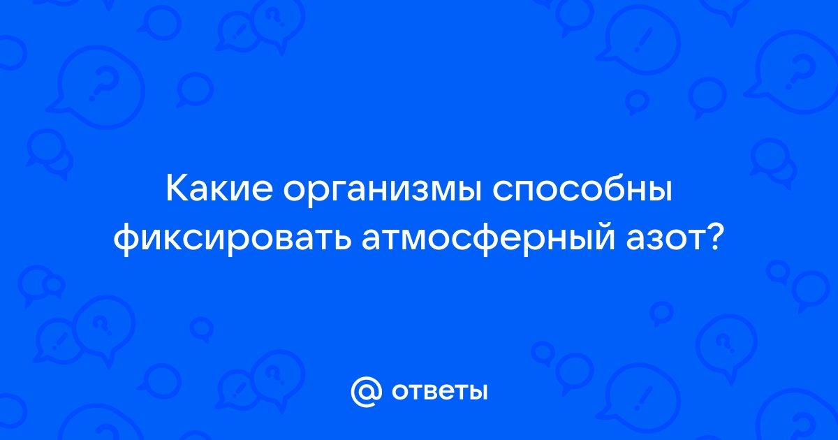 Способны к фиксации атмосферного азота