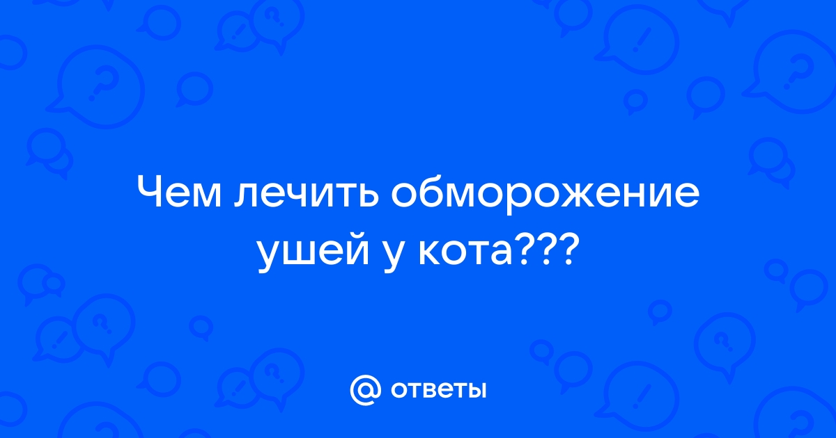 Обморожение конечностей у животных