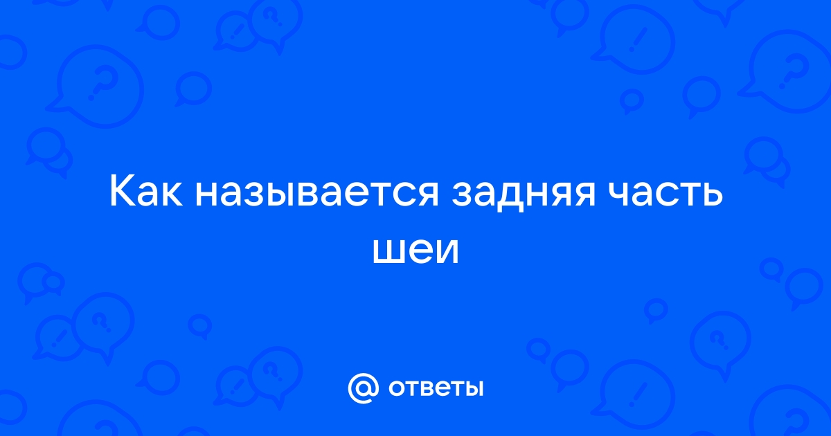 Как называется шея сзади