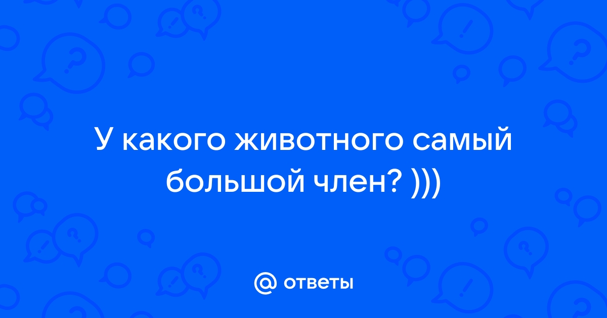 Смотрите, как выглядит животное с самым большим половым органом