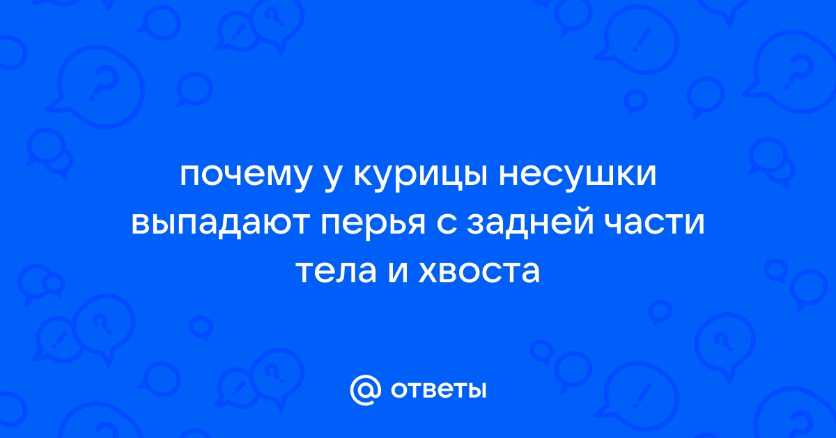 «Почему у кур выпадают перья на спине?» — Яндекс Кью