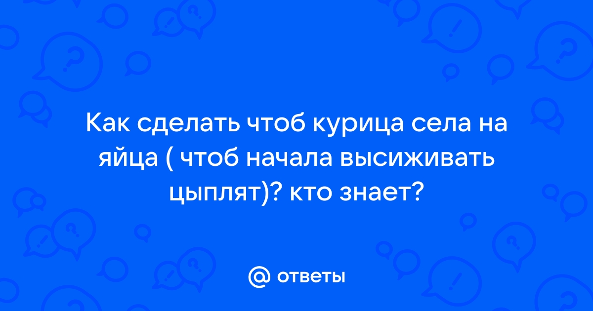 «Как посадить курицу на яйца в домашних условиях насильно?» — Яндекс Кью