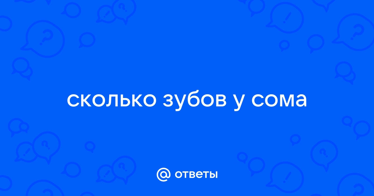 Сом – рыба знатная - Новости - Рязанские ведомости, 02 сентября 