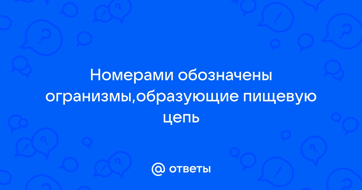 Рассмотреть рисунок представленный ниже распределите номера которыми обозначены организмы