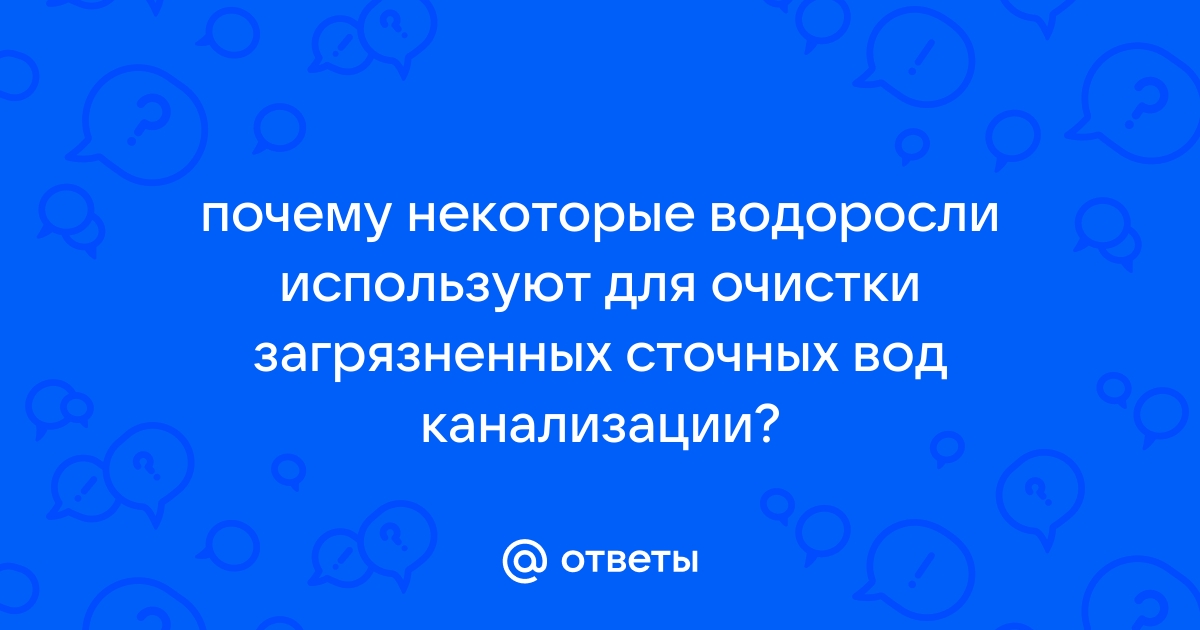 Почему некоторые водоросли используют для очистки загрязненных сточных вод канализации