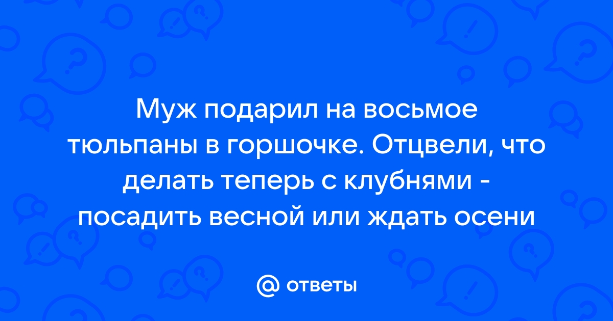 Что делать с тюльпанами после цветения