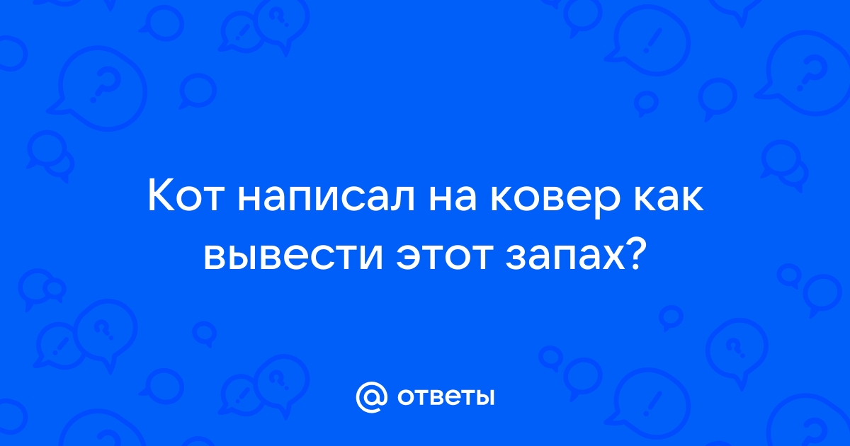 Кот написал на матрас как вывести