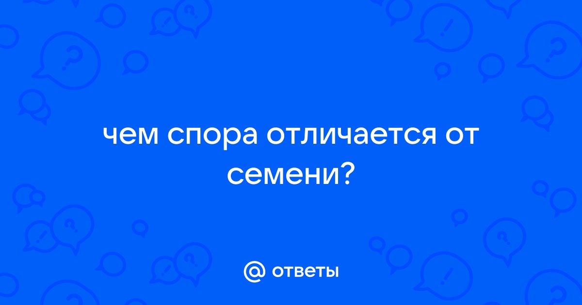 Чем семя отличается от споры