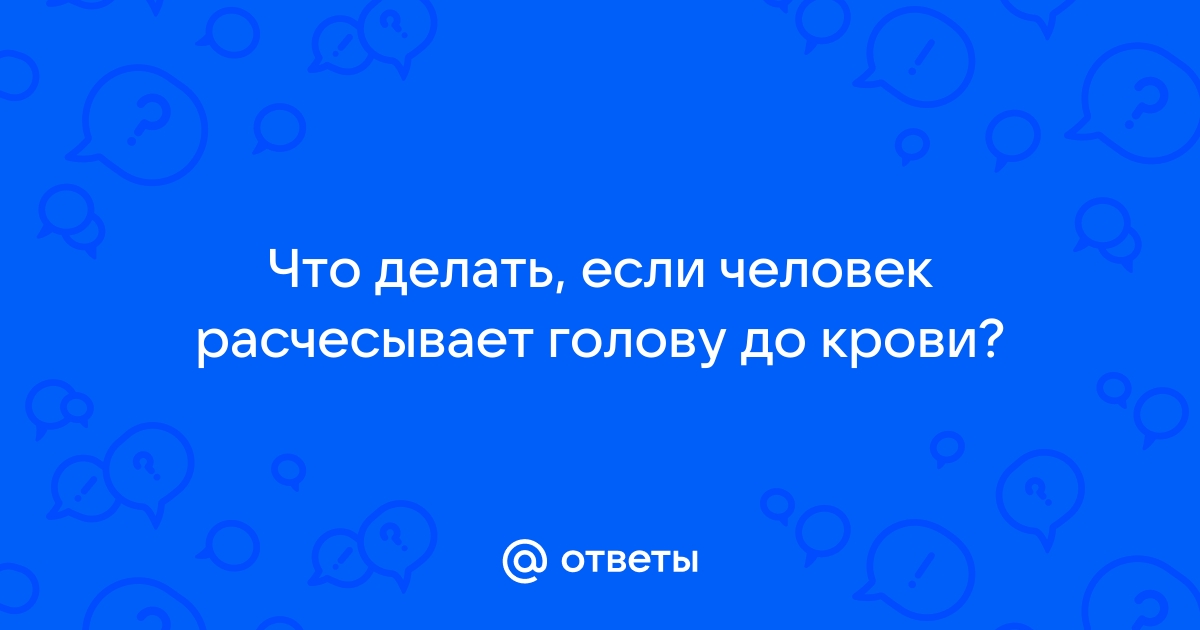 кот расчесывает голову до крови что делать | Дзен