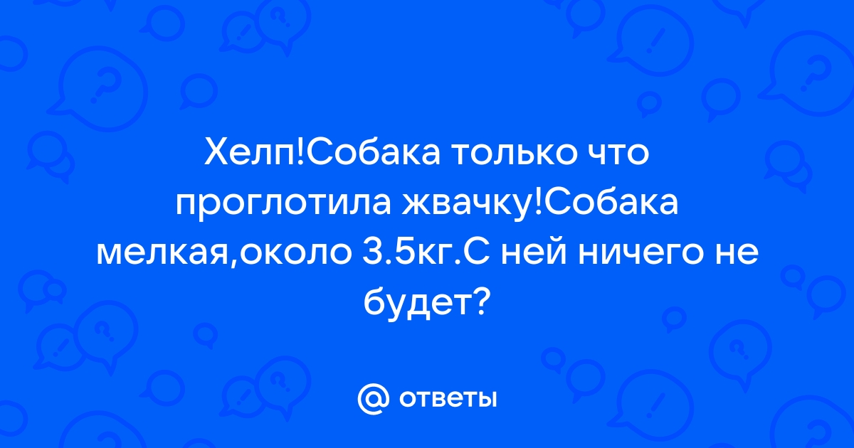 Что будет если случайно проглотить жвачку