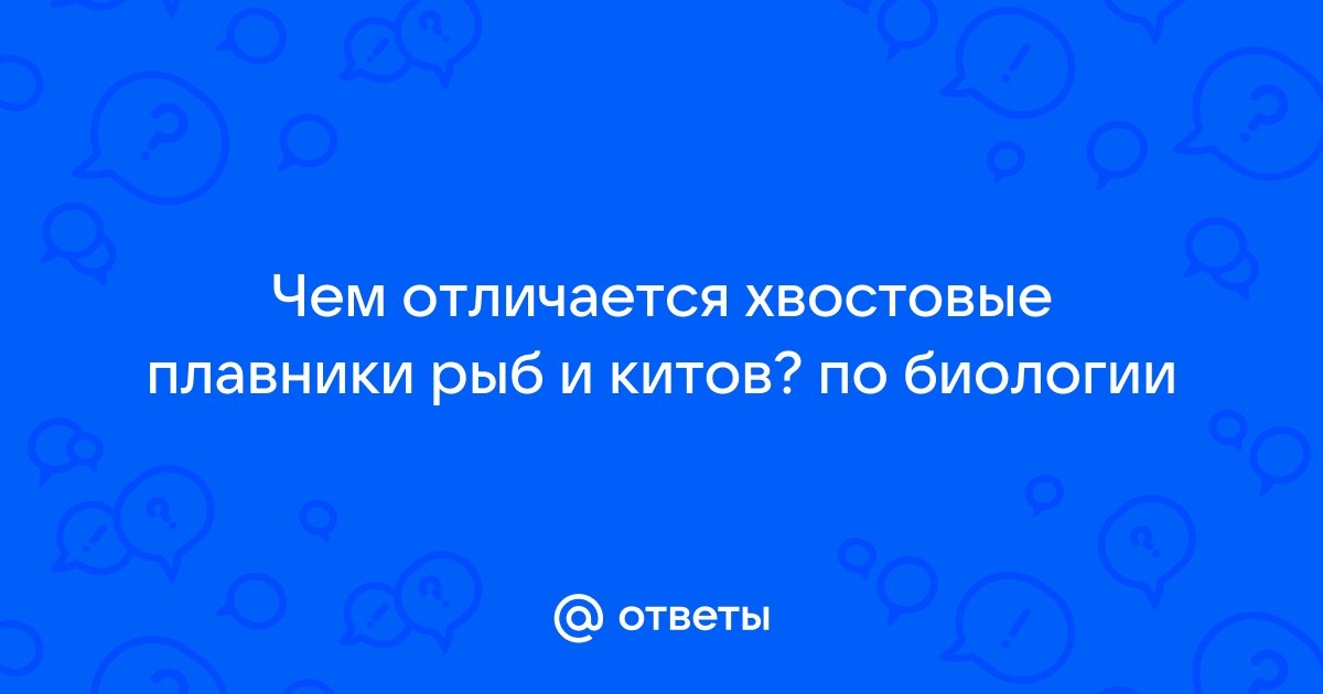 Значение словосочетания «хвостовой плавник»