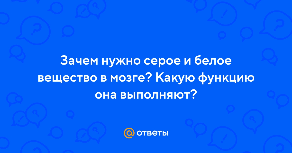 Ответы Mail.ru: Зачем нужно серое и белое вещество в мозге? Какую функцию  она выполняют?
