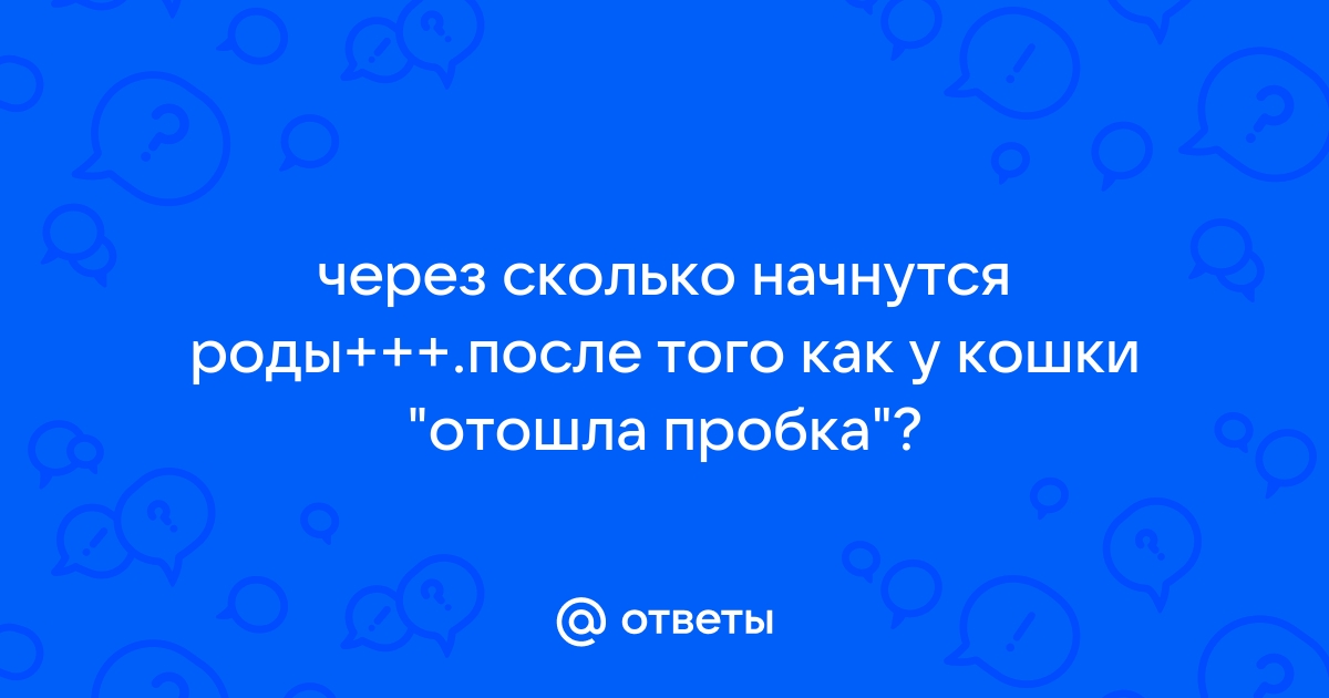 После осмотра на кресле начались роды