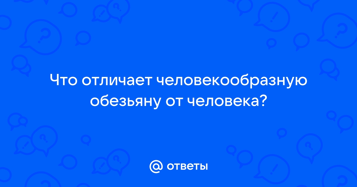 Что отличает человекообразную обезьяну от человека ответ общий план строения