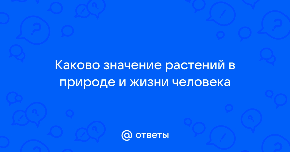 Реферат: Роль растений в природе и жизни человека