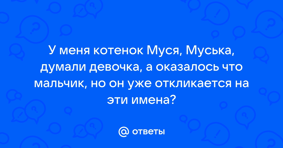 Значение имени Муся, характер, совместимость, нумерология